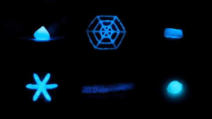 Биолюминесцентные материалы,водоросли