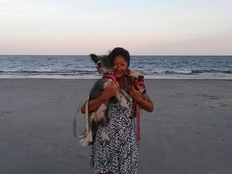 аллигатор, жертва аллигатора, сша