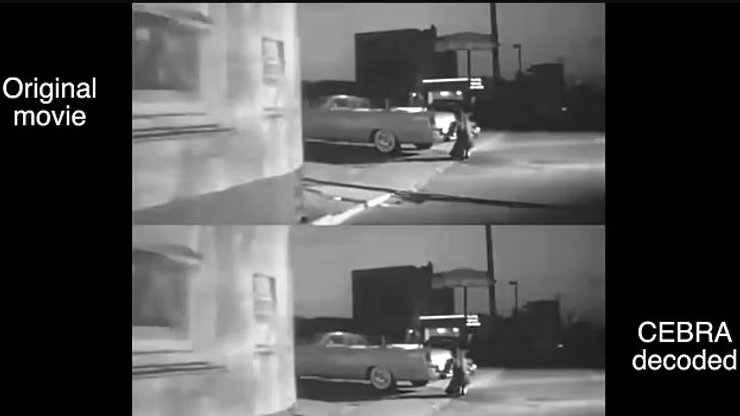 відео ШІ миша