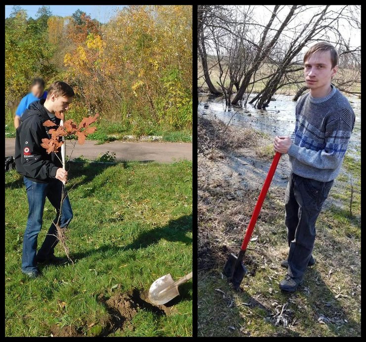 Владимир Петренко, деревья