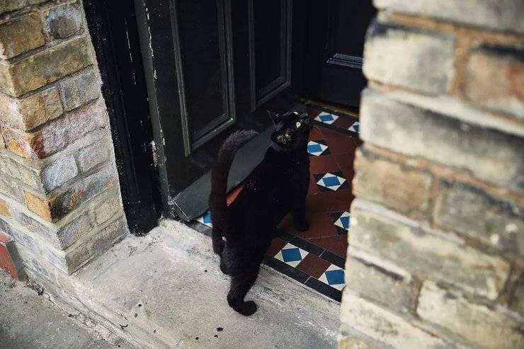 дом Гарри Поттера в Йорке, дом гарри поттера