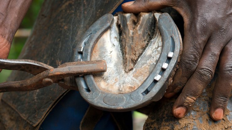 копыто, подкова, лошадь