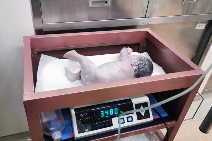 дети, близнецы, китай