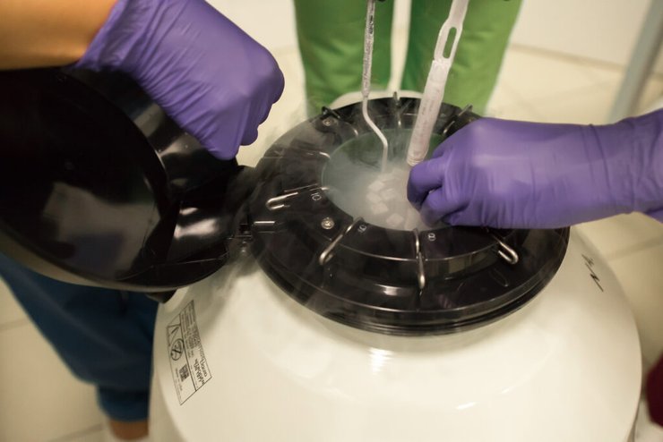 криоконсервация, репродуктивное здоровье, консервация биоматериала