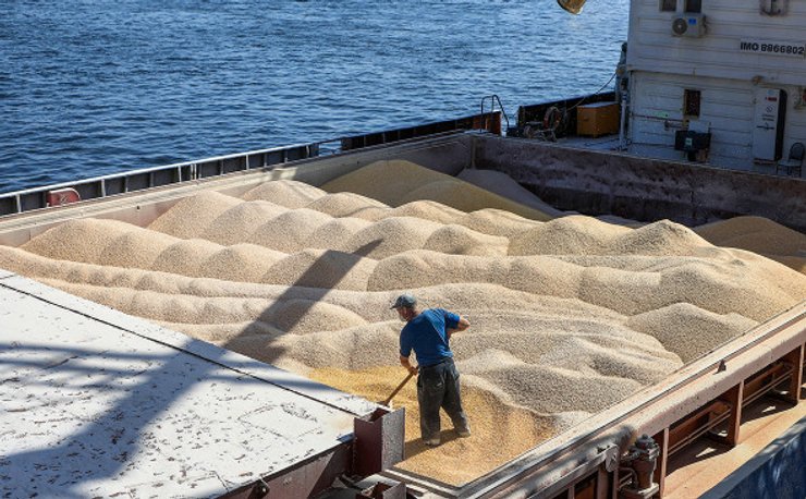 проблемы на границе с Польшей, Польша блокировка границ, польский транзит из Украины, экспорт зерна из Украины, польские фермеры страйк, польские фермеры протесты