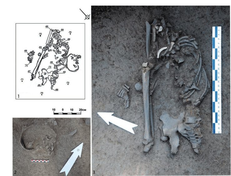 Археологи виявили кілька культурних шарів