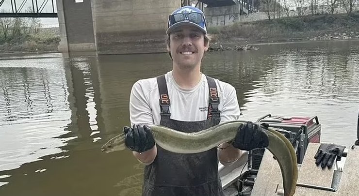 угорь океан