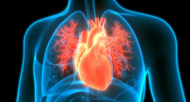 Фрамингемское исследование сердца