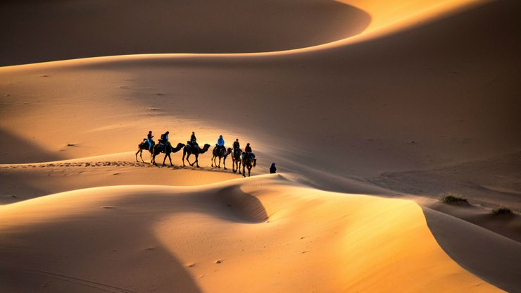 пустыня Сахара, песок, верблюды, люди, фото