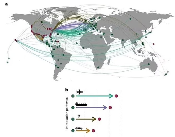 поширення дощові черв'яки