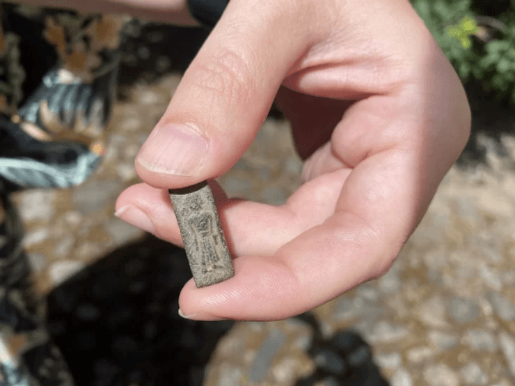 знахідка, археологія, історія, розкопки, Фальстерська археологічна знахідка, Артефакти епохи вікінгів, Старовинні золоті марки, Данські історичні артефакти, вікінги, Скандинавська археологія, Реліквії епохи до вікінгів, Скандинавські золоті монети