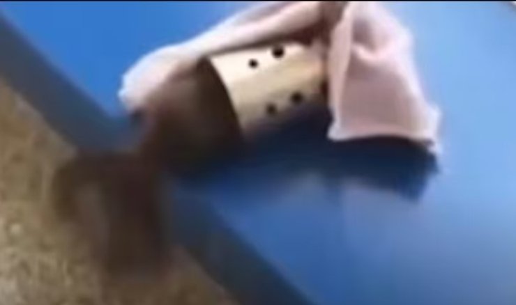 білка наркотики