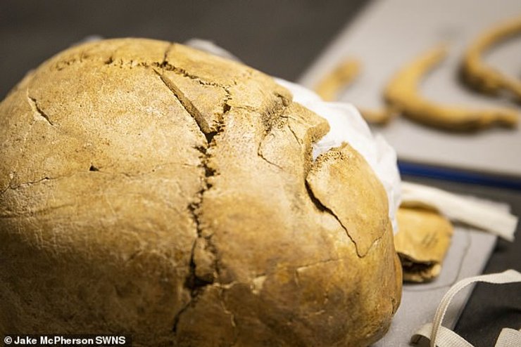 череп, вікінг