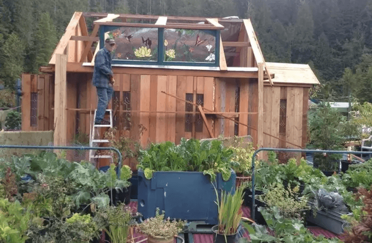 Плавучий острів, побудували острів своїми руками, далеко від суспільства, ближче до природи, живе на плавучому острові, Бухта Свободи