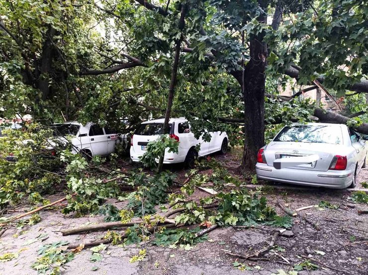 Поврежденные машины в киеве