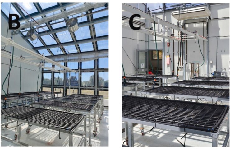 Теллицы с солнечными окнами