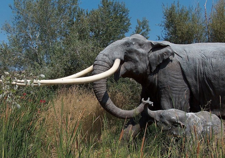 Palaeoloxodon antiquus Предки человека делили маршрут выхода из Африки с настоящими гигантами