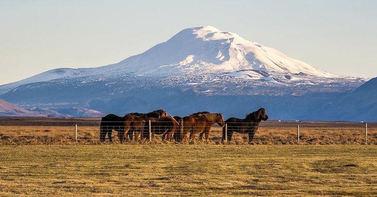 вулкан гекла
