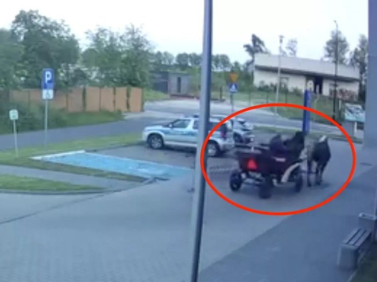 Чоловік напідпитку приїхав до поліцейського відділку у Польщі на коні