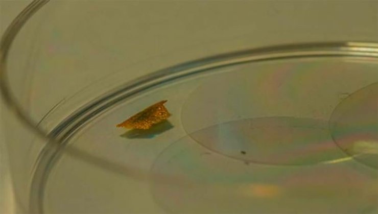 Римское стекло, фотонные кристаллы, нанотехнологии, древние стеклянные артефакты, научный анализ, история окружающей среды, история, археология, римская империя