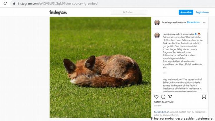 Франк-Вальтер Штайнмайер, лиса, Резиденция, Парк, Берлин