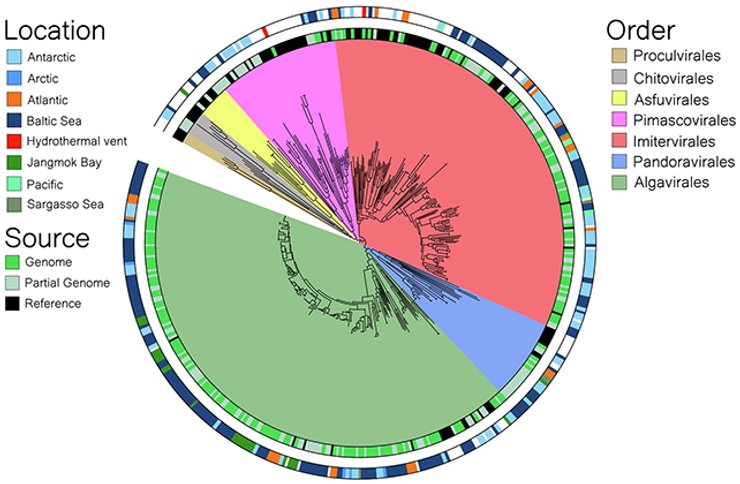 гігантські віруси