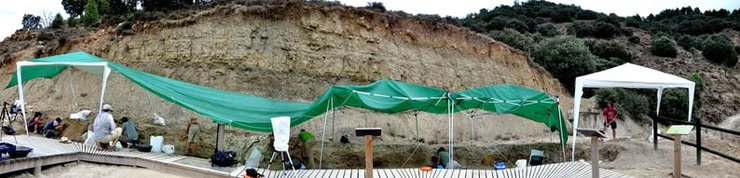 кости спинозавров, новый род, Кастельон, Испания, Пиренейский полуостров, Spinosaurus, эволюционные преимущества, Protathlitis cinctorrensis, барионихин, палеонтологи, окаменелости динозавров