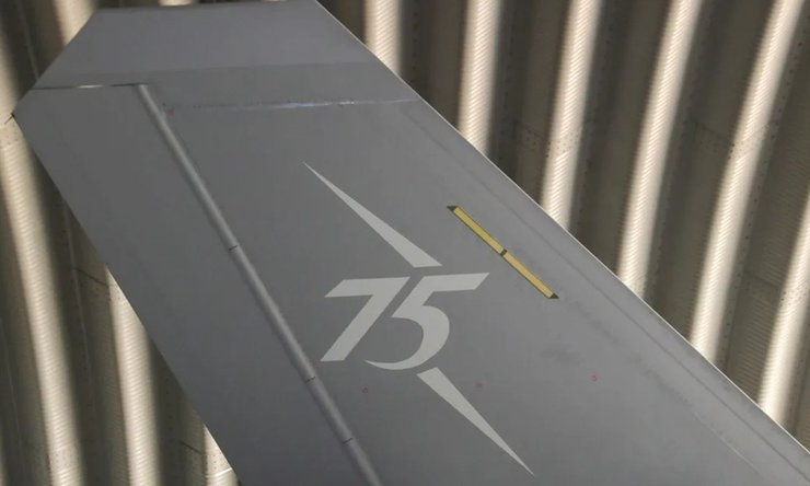 Крыло истребителя J-35A