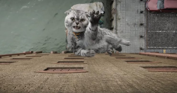 аргайл, кот, мэттью вон