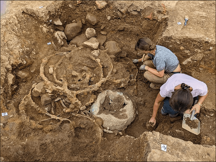 археологи нашли более 300 артефактов