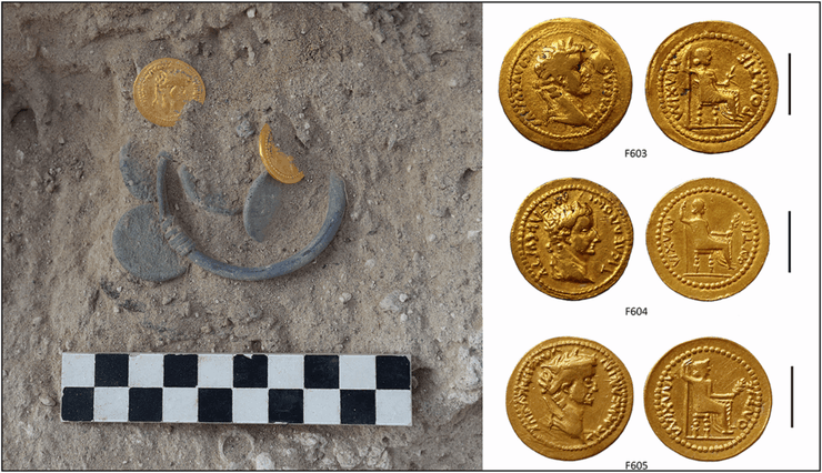 Ученые нашли разнообразные дары