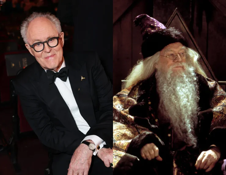 Дамблдор в серіалі про Гаррі Поттера