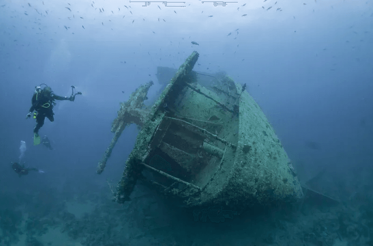 затонувший корабль, вторая мировая война, риф, коралловый риф, исследование, красное море