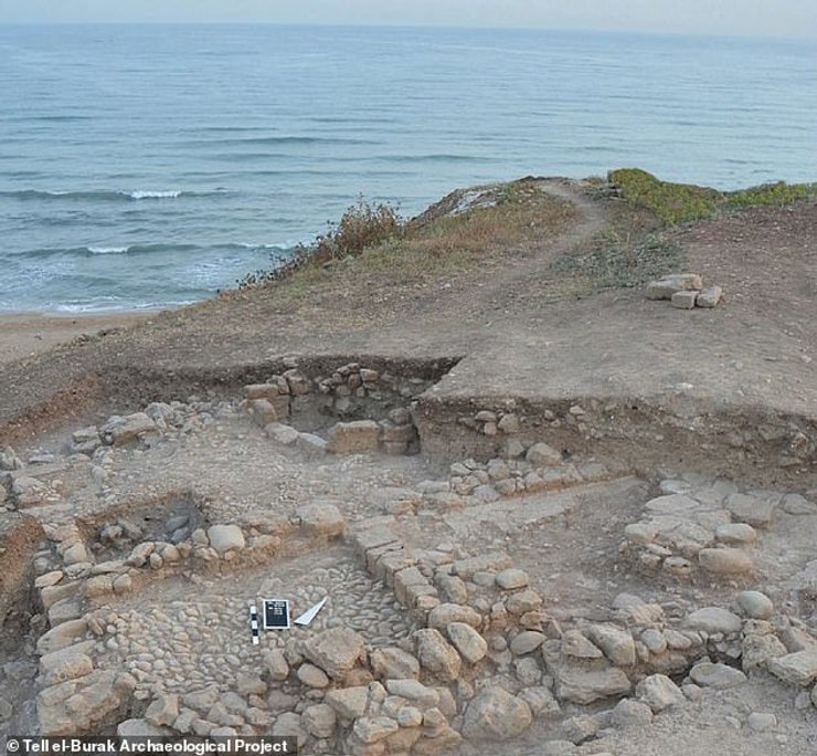 винодельня, финикийцы