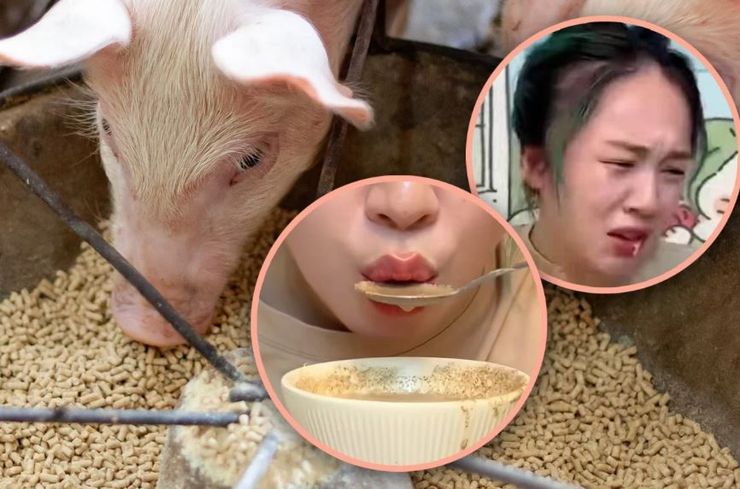 Свиная диета, женщина 7 дней питалась животным кормом, как это на нее повлияло