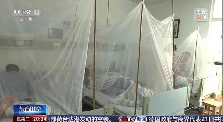 вирус чикунгунья, китай