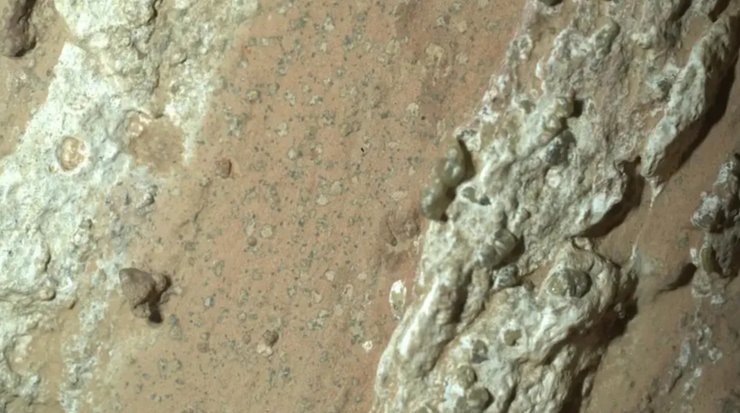 Марсохід NASA виявив ознаки життя на Марсі: з цієї речовини складаються організми на Землі