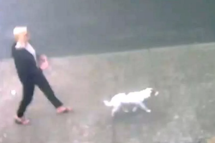 Жінка за допомогою прихованої камери спіймала сусідку на гарячому, сусідка викидає собачі фекалії, курйози, скандал, фото