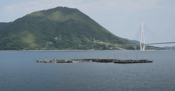 Супруги купили заброшенный дом в Японии, заброшенный дом, недорогое жилье, жилье в аренду, съемный дом, ремонт своими руками