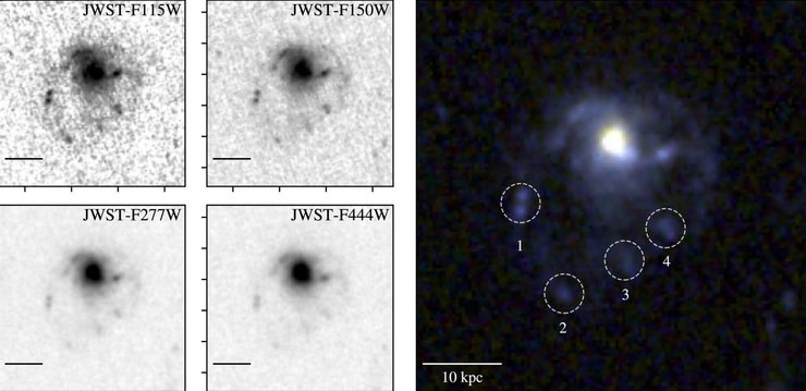 галактика медуза