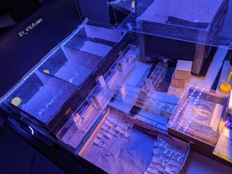 експеримент джмелі