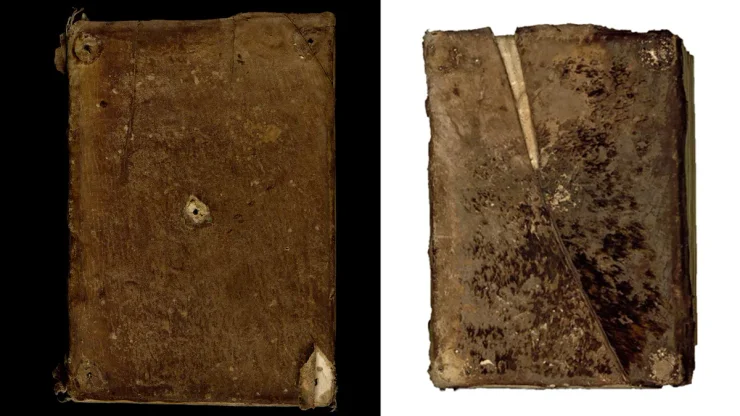 книги, тюлені, шкіра, ченці, абатство, торгівля, Норвегія, ДНК, палітурка, історія, середньовіччя, шкура