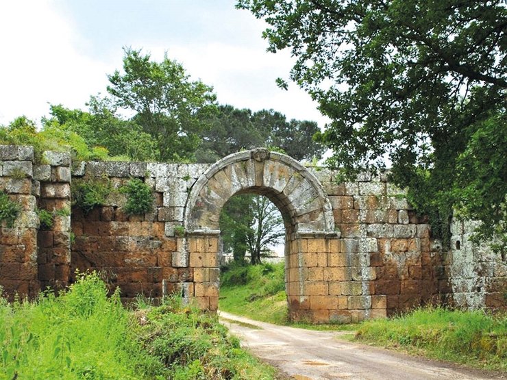 фалерии нови, археология, италия