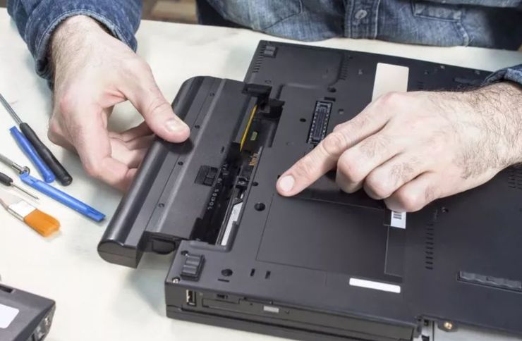 Знахідка у ноутбуці, комахи, сюрприз, цікаві речі, дивні історії з життя, неймовірні речі, курйози, приколи, цікавинки