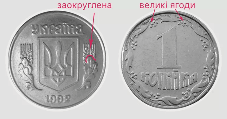 Редкая разновидность одной копейки с закругленным листом и крупными ягодами