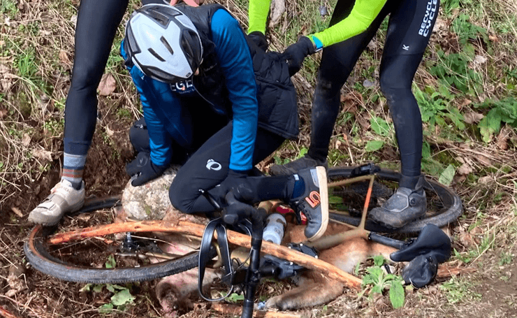 На женщину напала пума, женщины отбились от пумы, горный лев, хищный зверь, животное, велосипедистки, рукопашный бой, вытащили из пасти