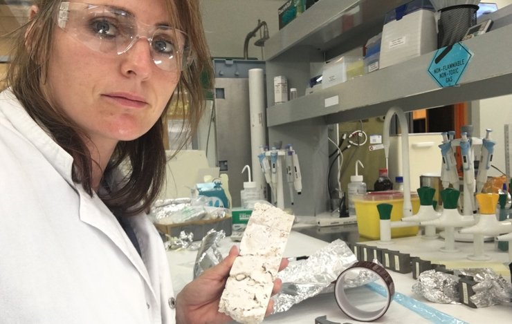 Карра Уильямс кораллы