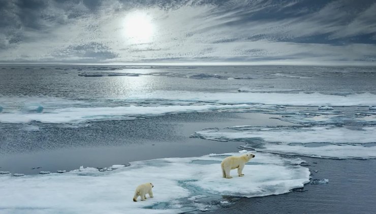 таяние льдов арктики