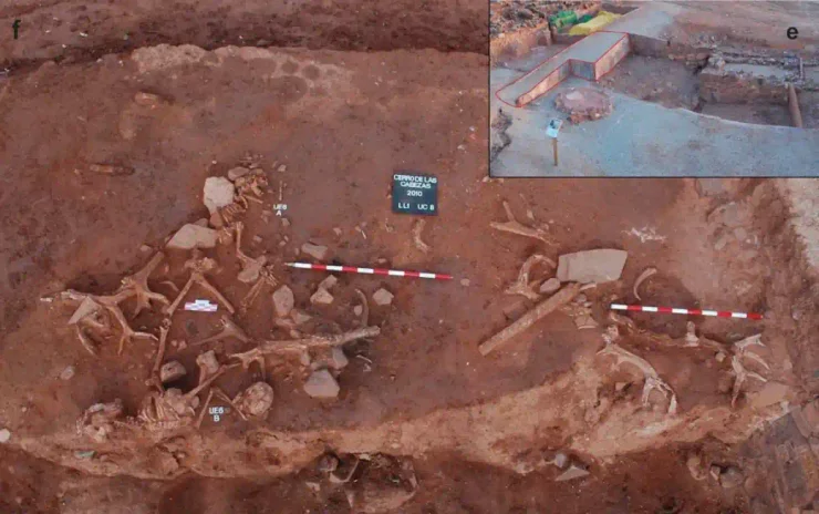 Археологи знайшли незвичайне поховання