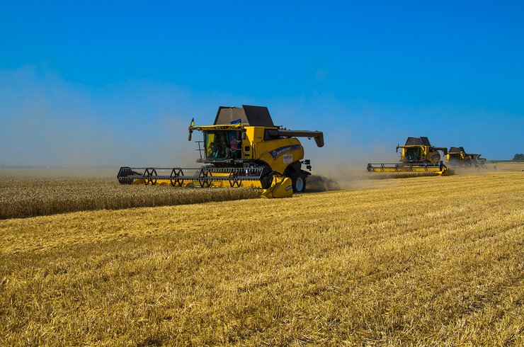 збирання врожаю, комбайни, поле, пшениця